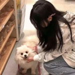 果盘仙尘online手游下载